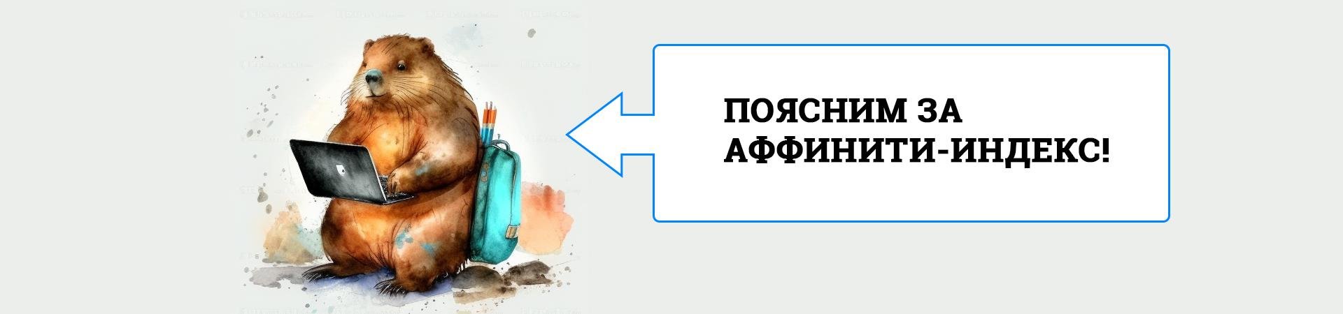 Аффинити-индекс в Яндекс Метрике